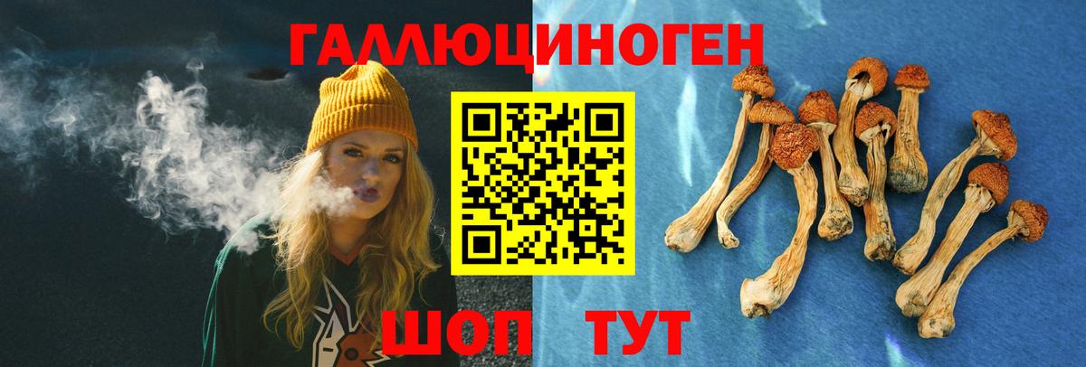 Галлюциногенные грибы прущие грибы Дивногорск