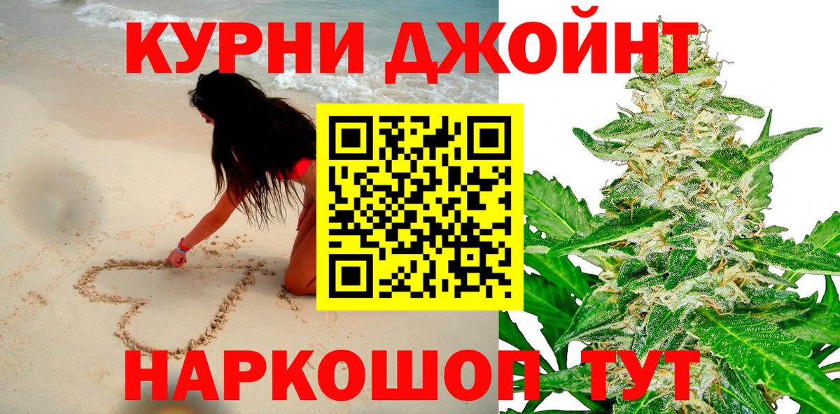Конопля сатива Дивногорск